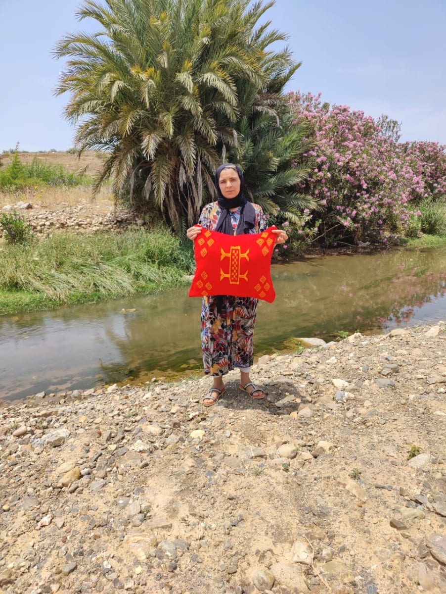  Pillow  Dyed Wool and Cotton Red, Yellow Morocco