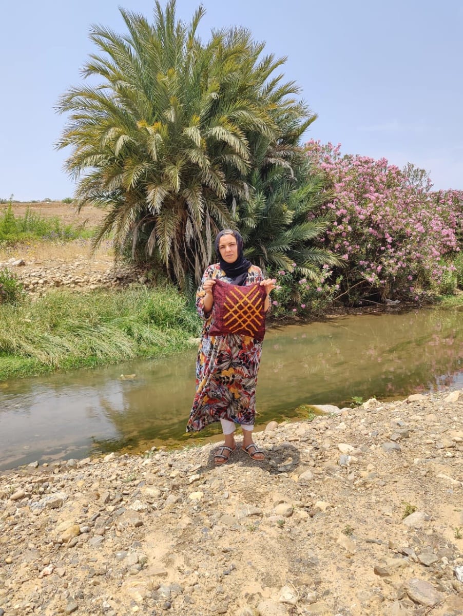  Pillow  Dyed Wool and Cotton Red, Yellow Morocco