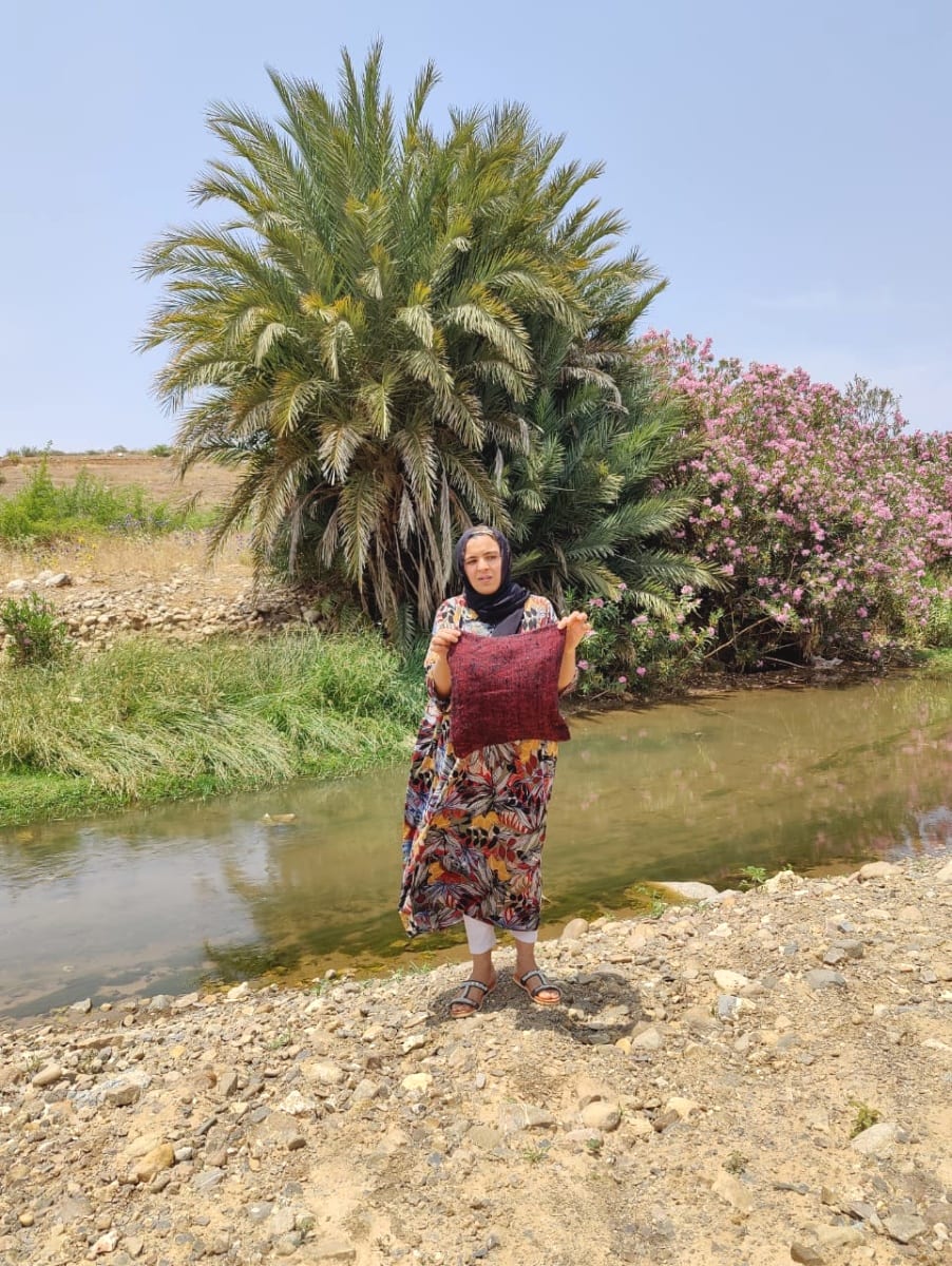  Pillow  Dyed Wool and Cotton Red, Yellow Morocco