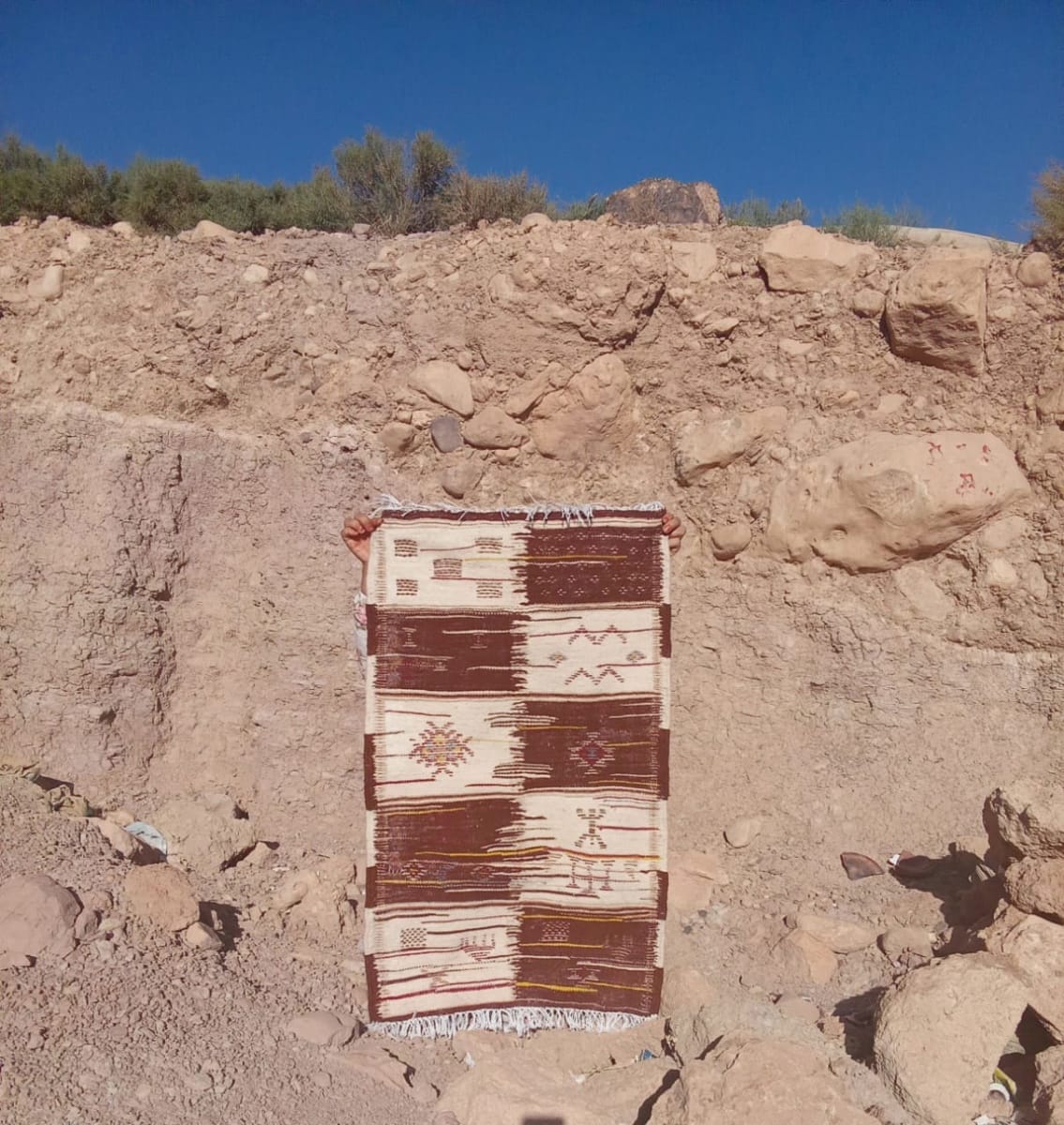 Flatweave and Pileknot rug