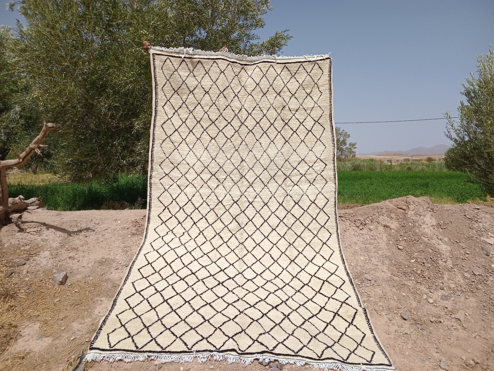 Handmade Moroccan Pileknot Rug