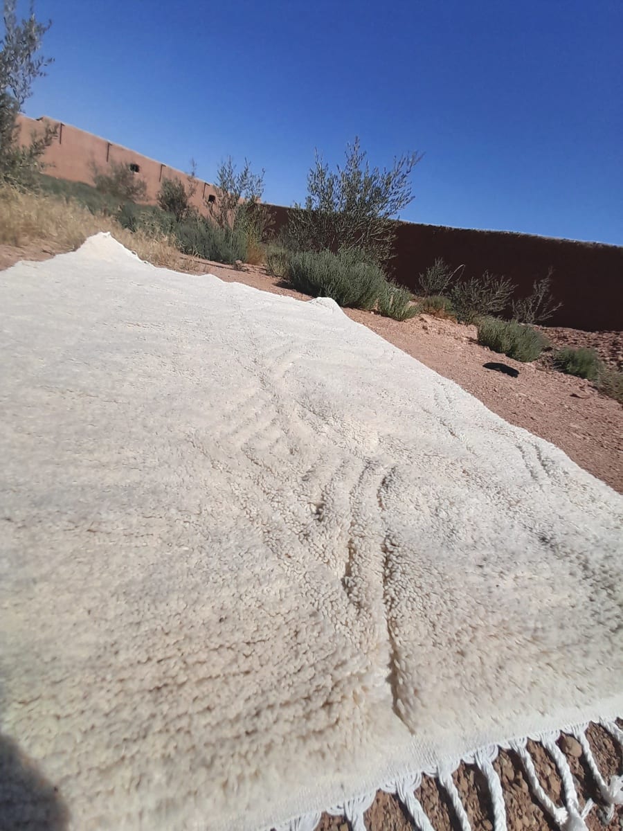  Rug   and  White Morocco