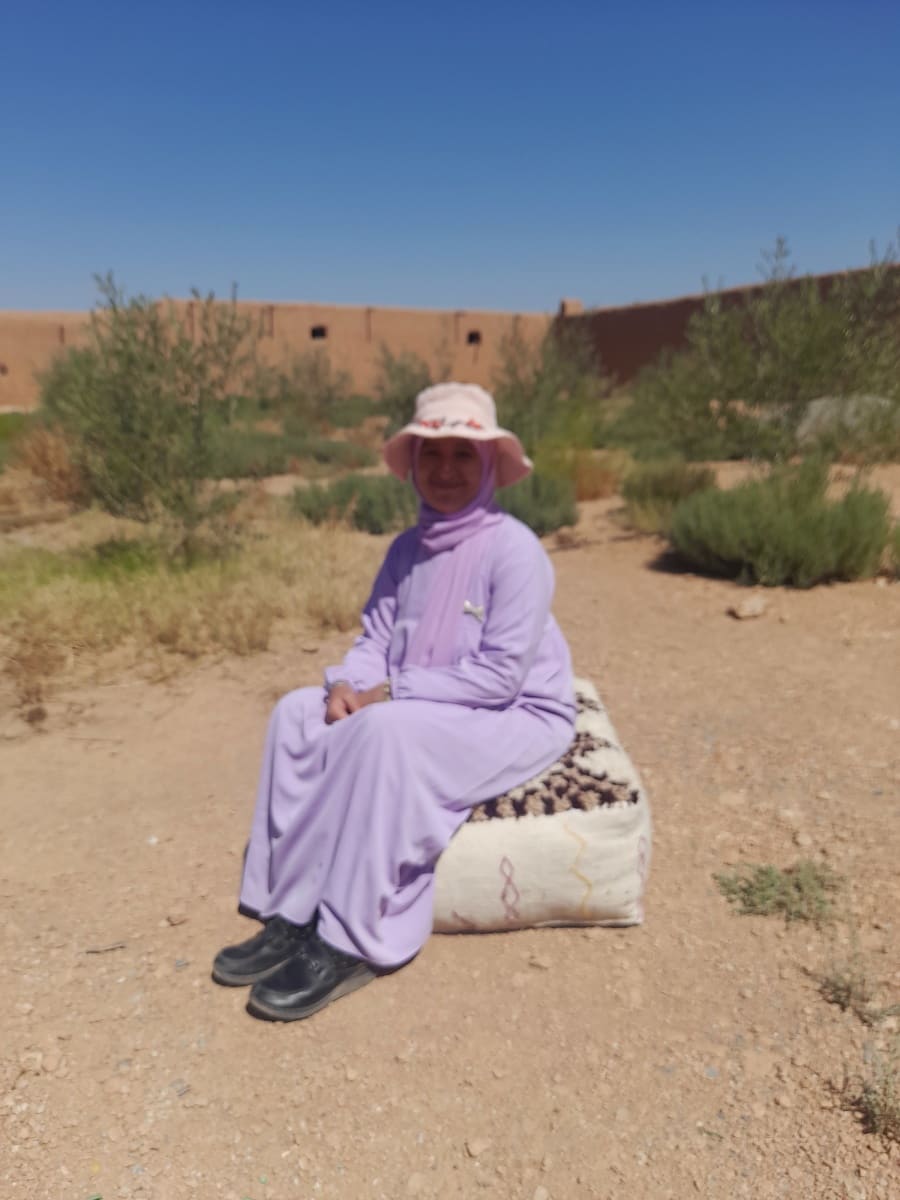  Pillow  and  Yellow, Brown Morocco