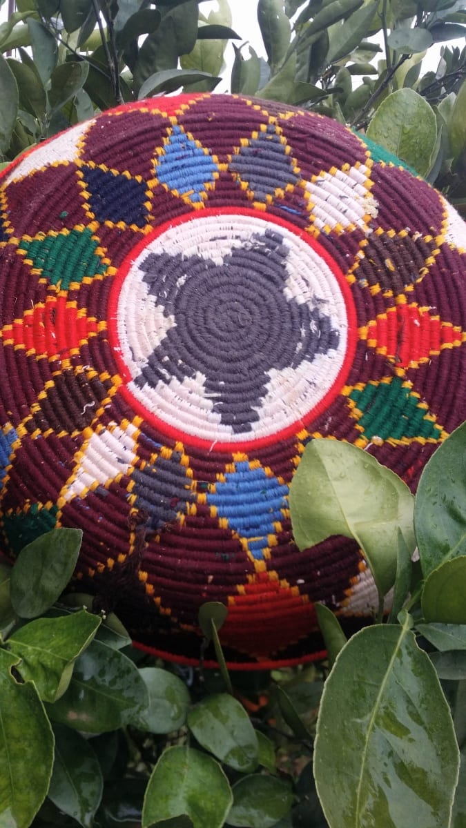  None  Colored Morocco