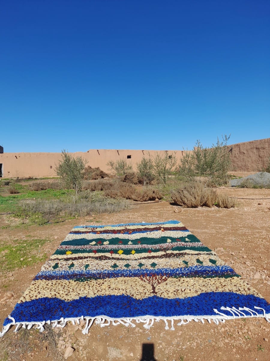  Rug   and  Colored Morocco
