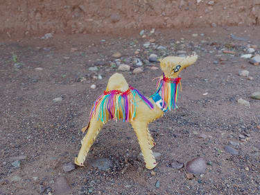 Toy Camel