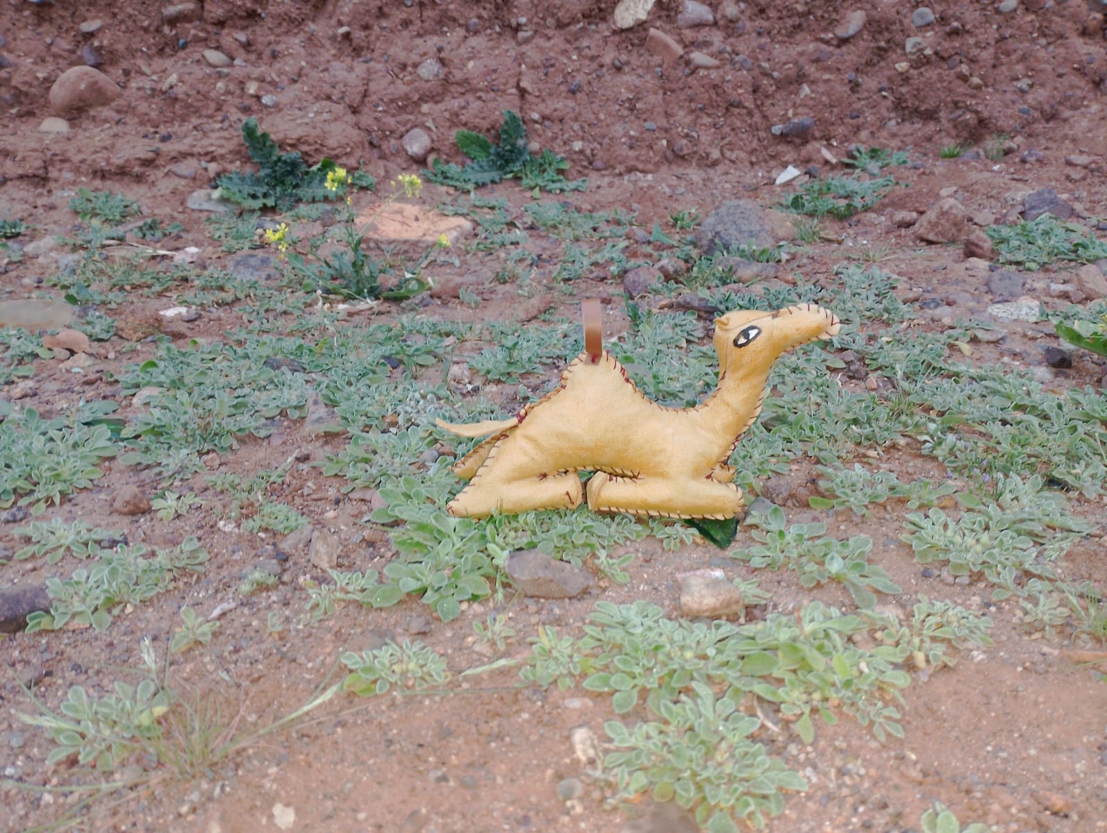 Toy Camel