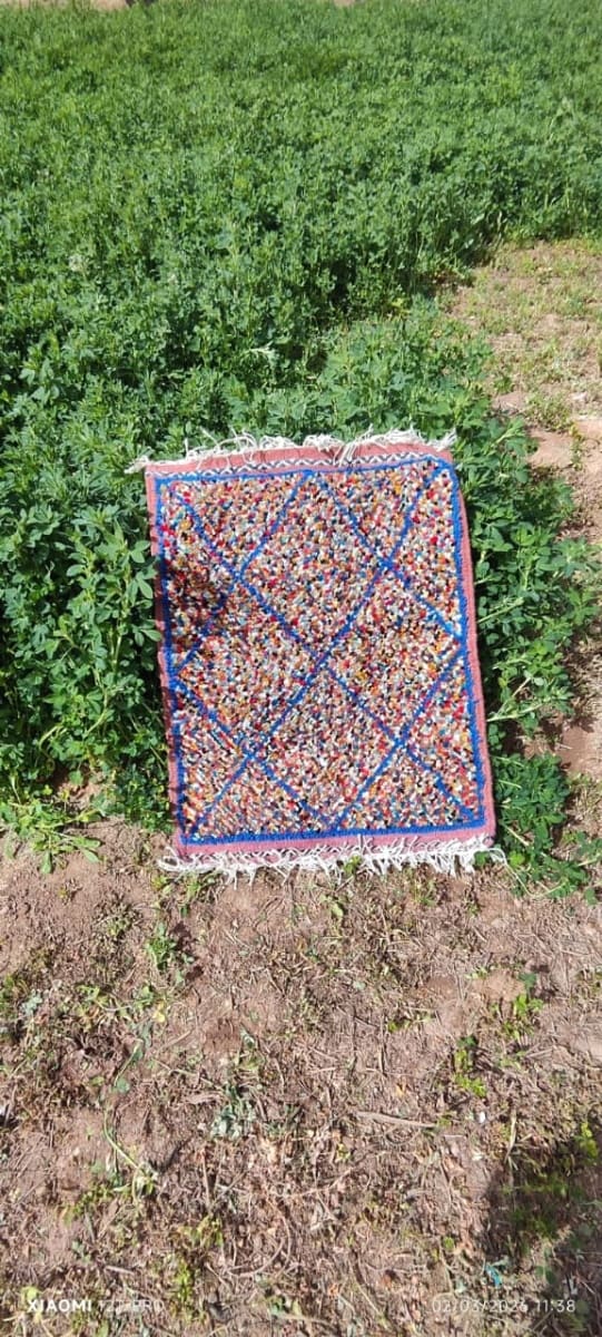  Zerbya Natural Wool Colored Morocco