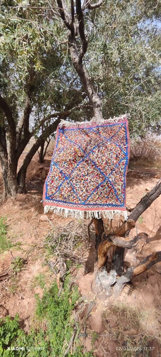  Zerbya Natural Wool Colored Morocco