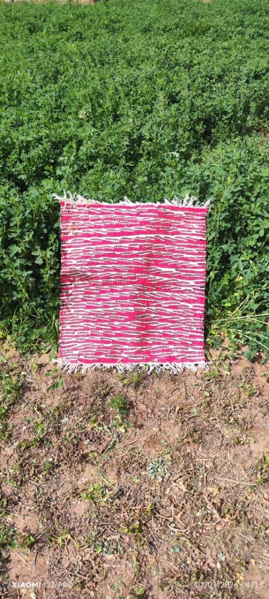  Hanbel Natural Wool Pink, White Morocco