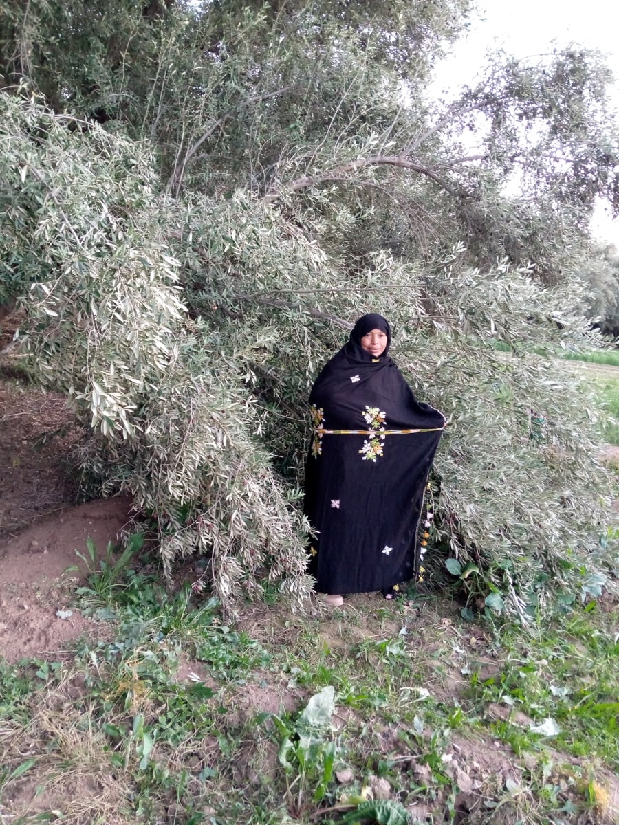 Tahrouit