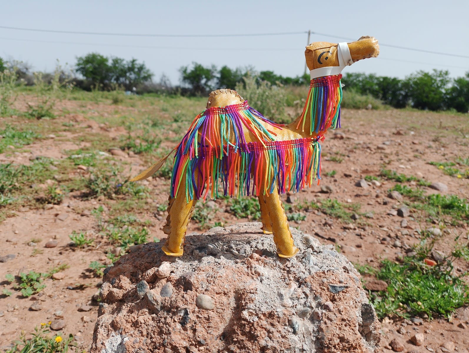 Toy Camel