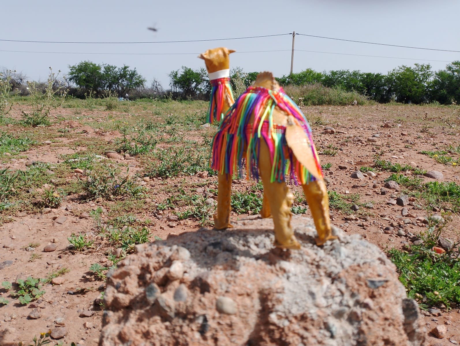 Toy Camel