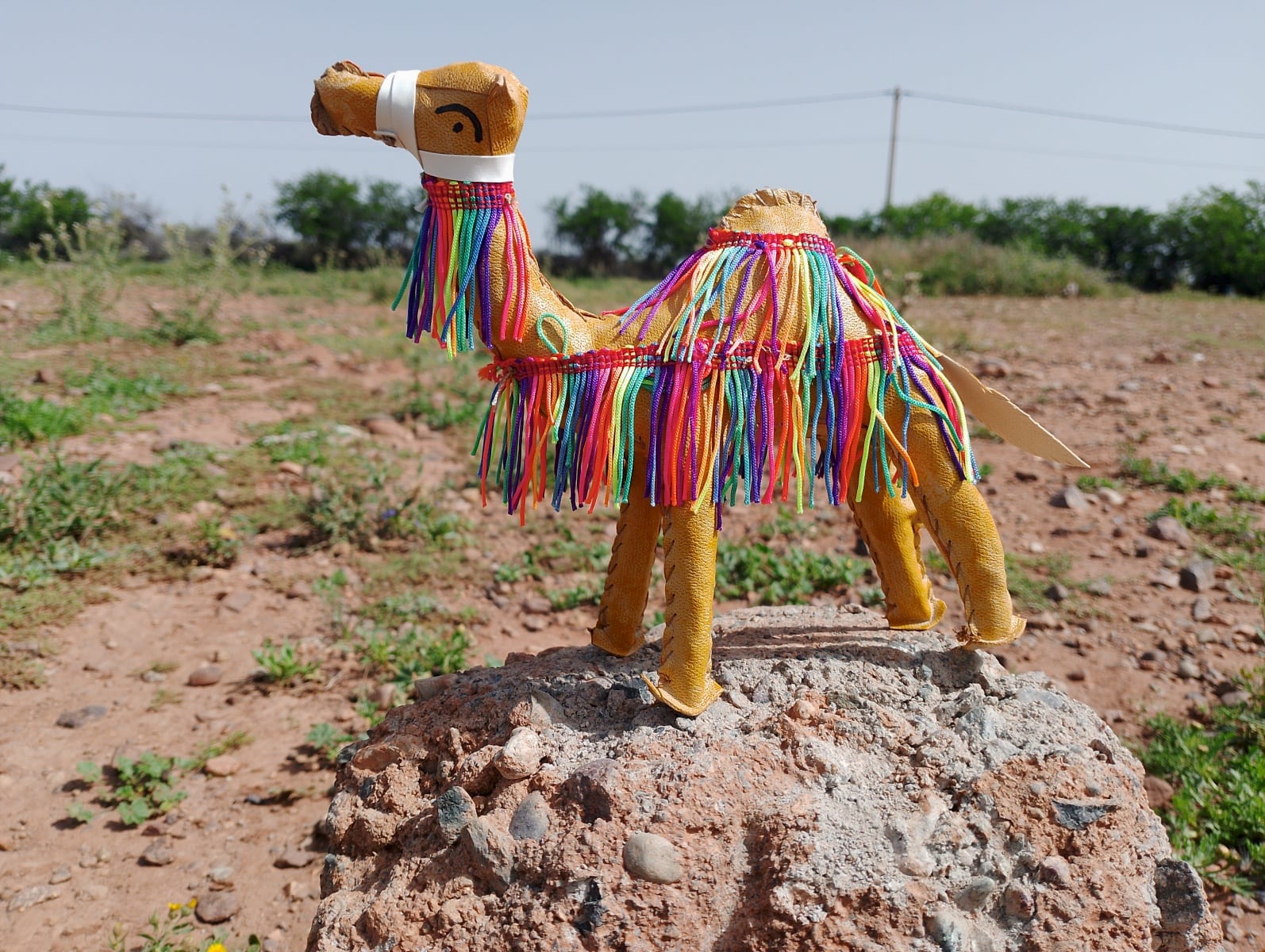 Toy Camel