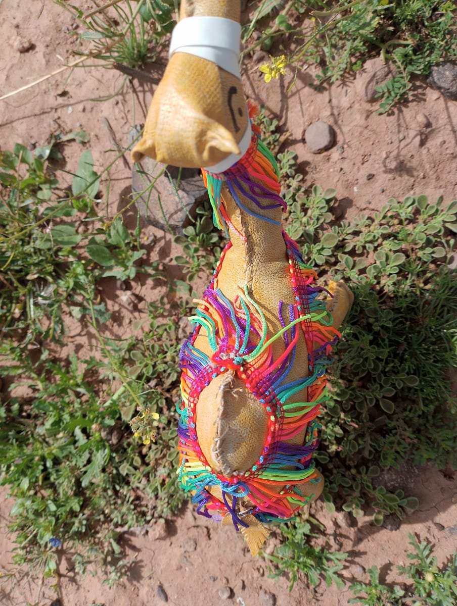 Toy Camel