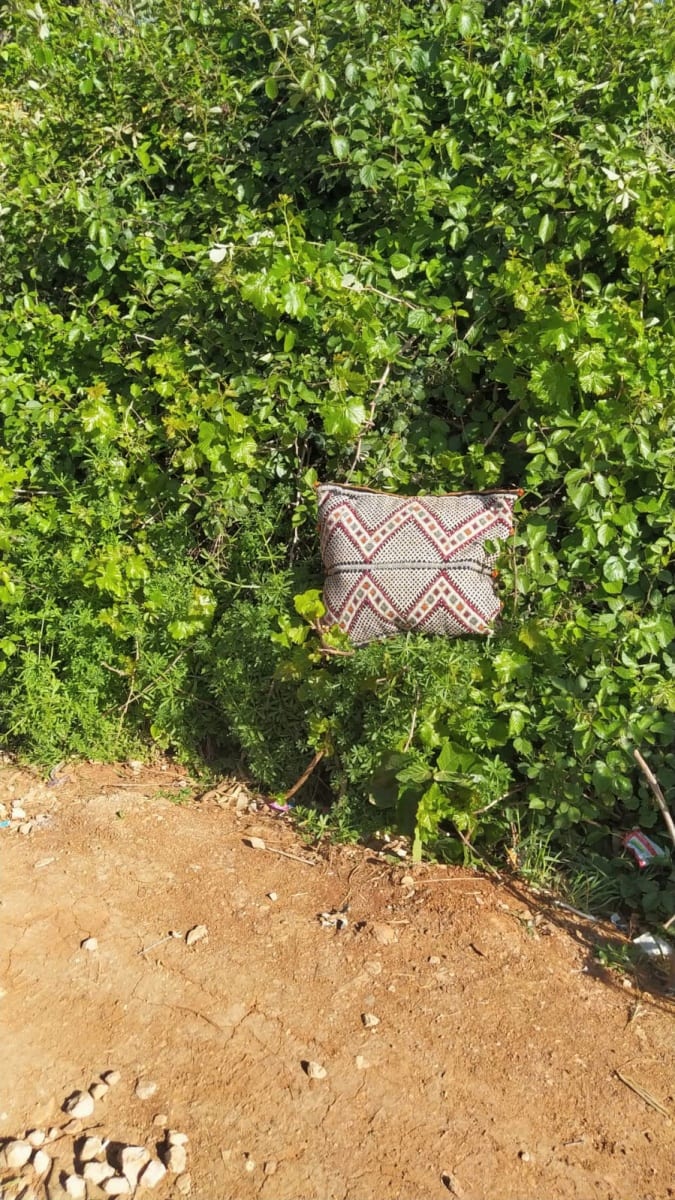  Pillow  Tadout - Wool and Cotton Colored Morocco