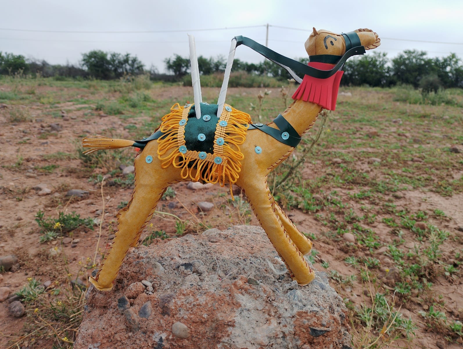 Toy Camel
