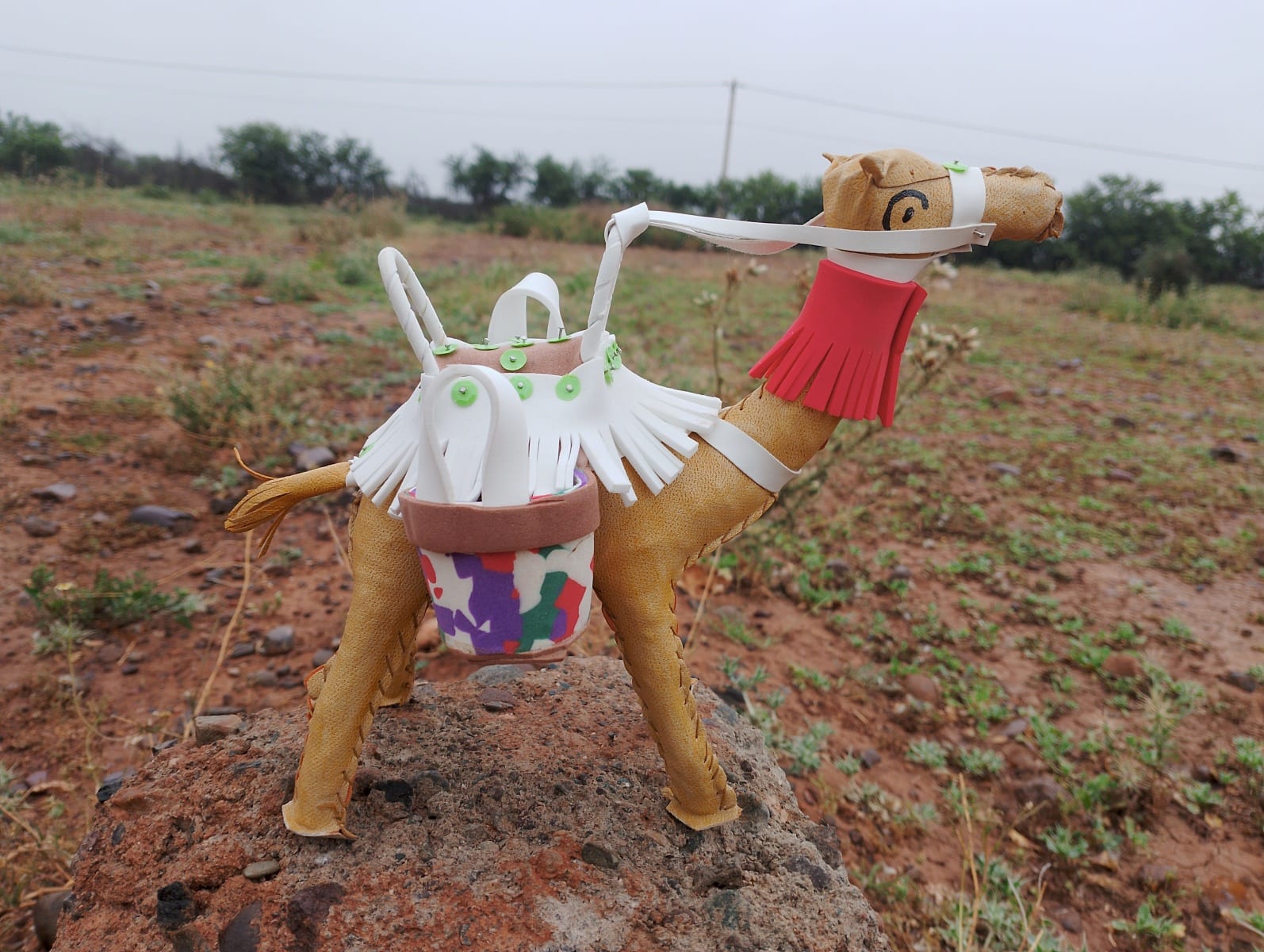 Toy Camel