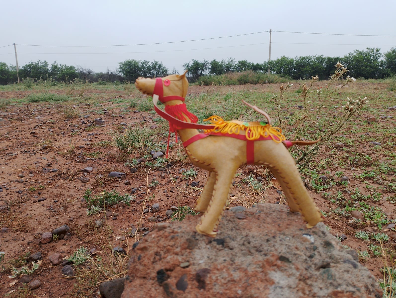 Toy Camel