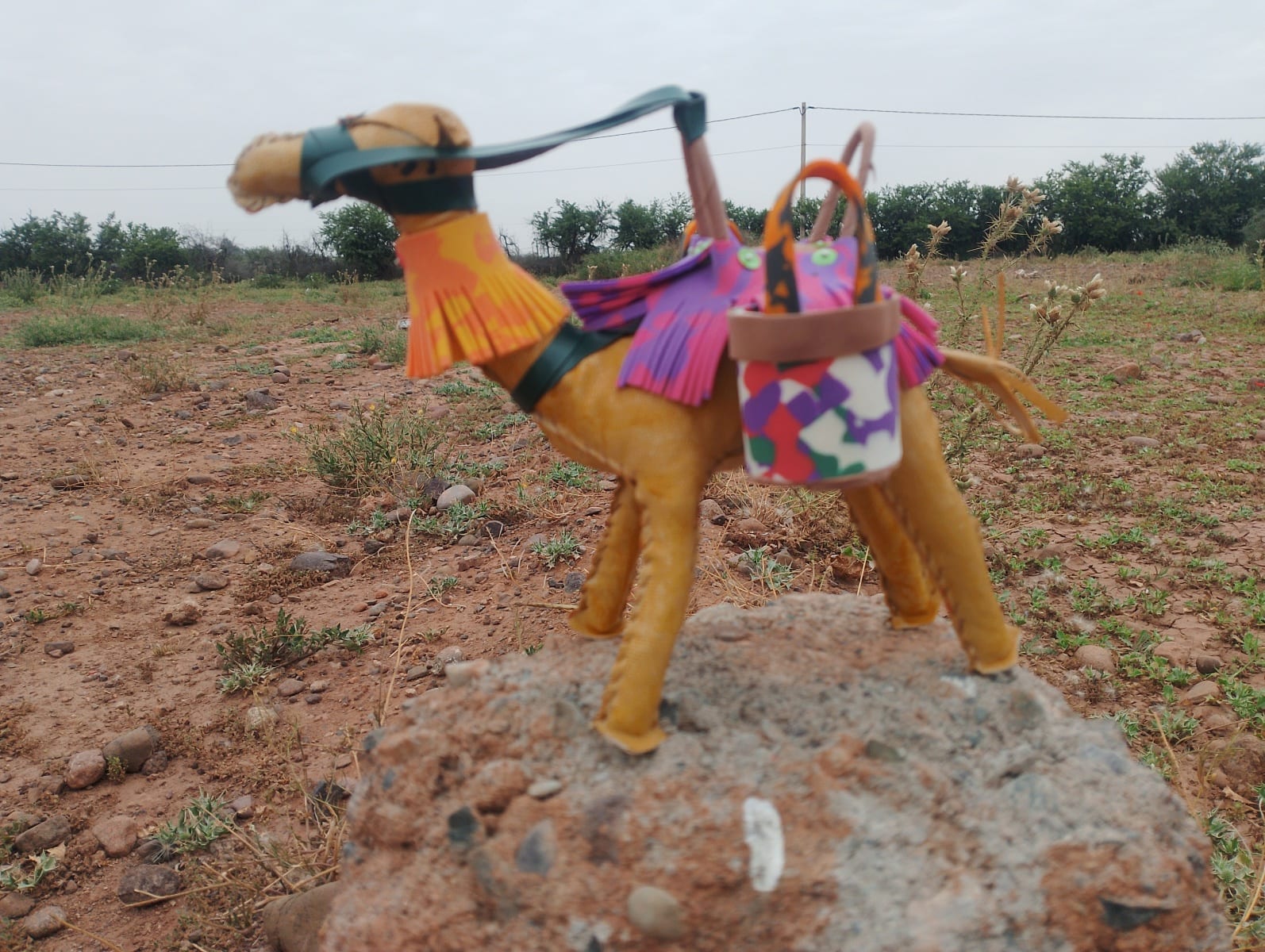 Toy Camel