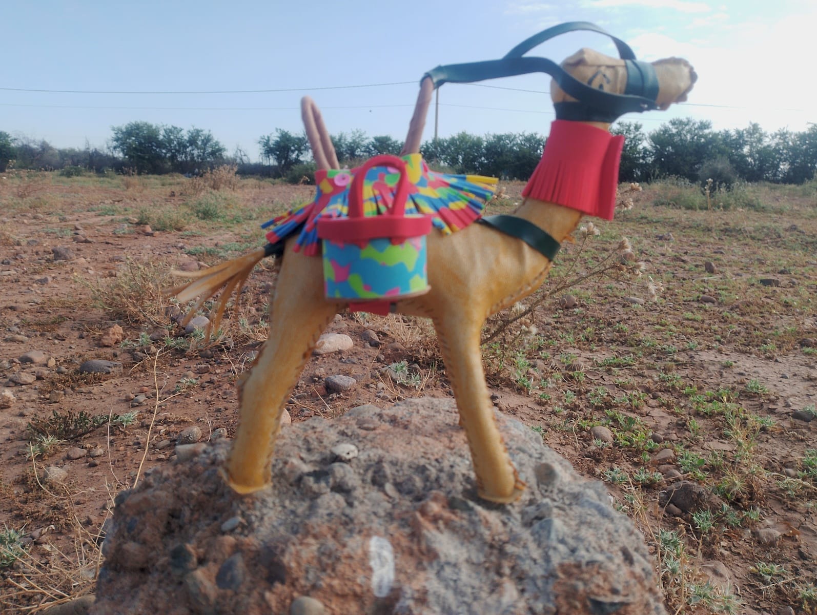 Toy Camel