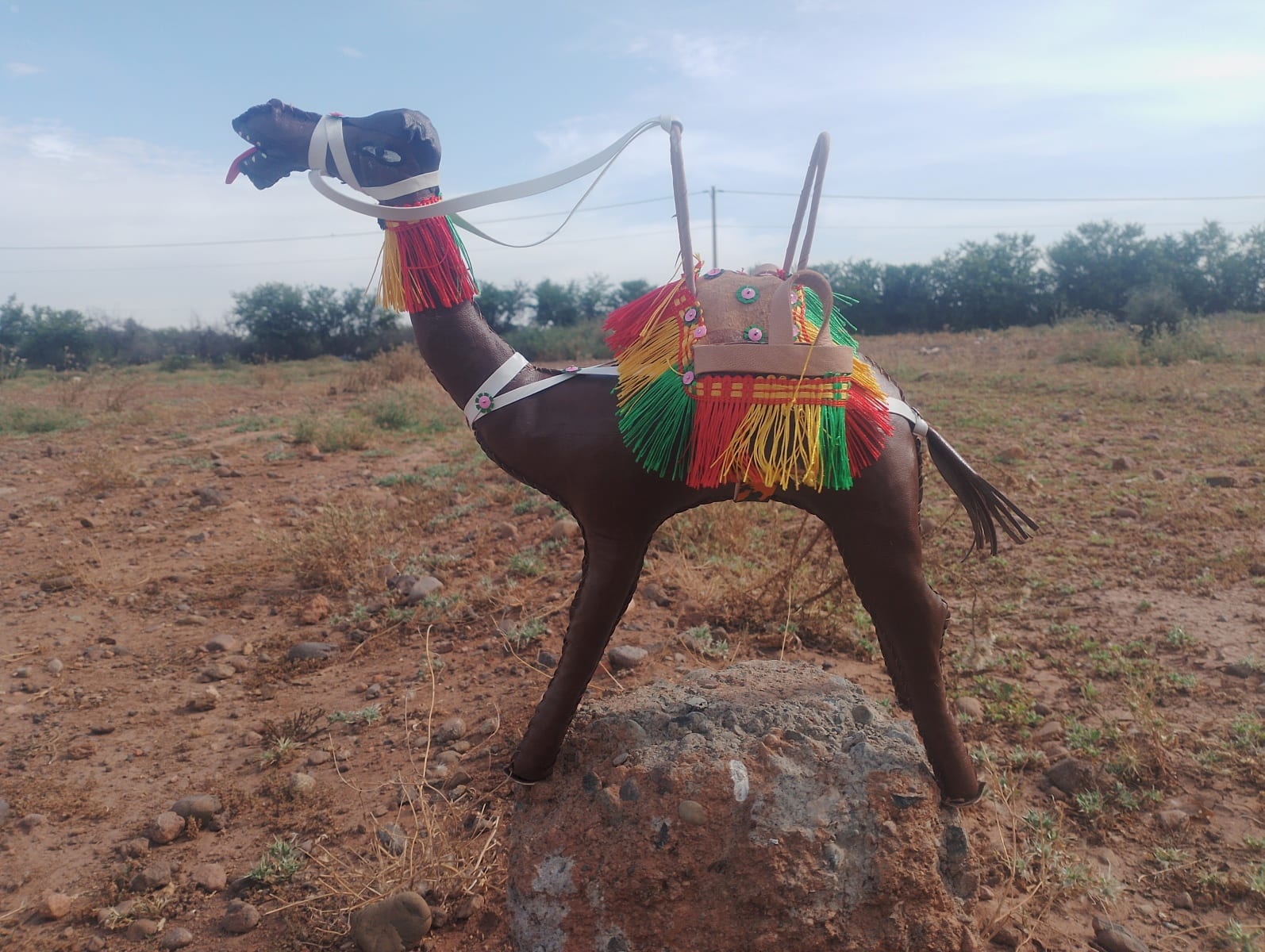 Toy Camel