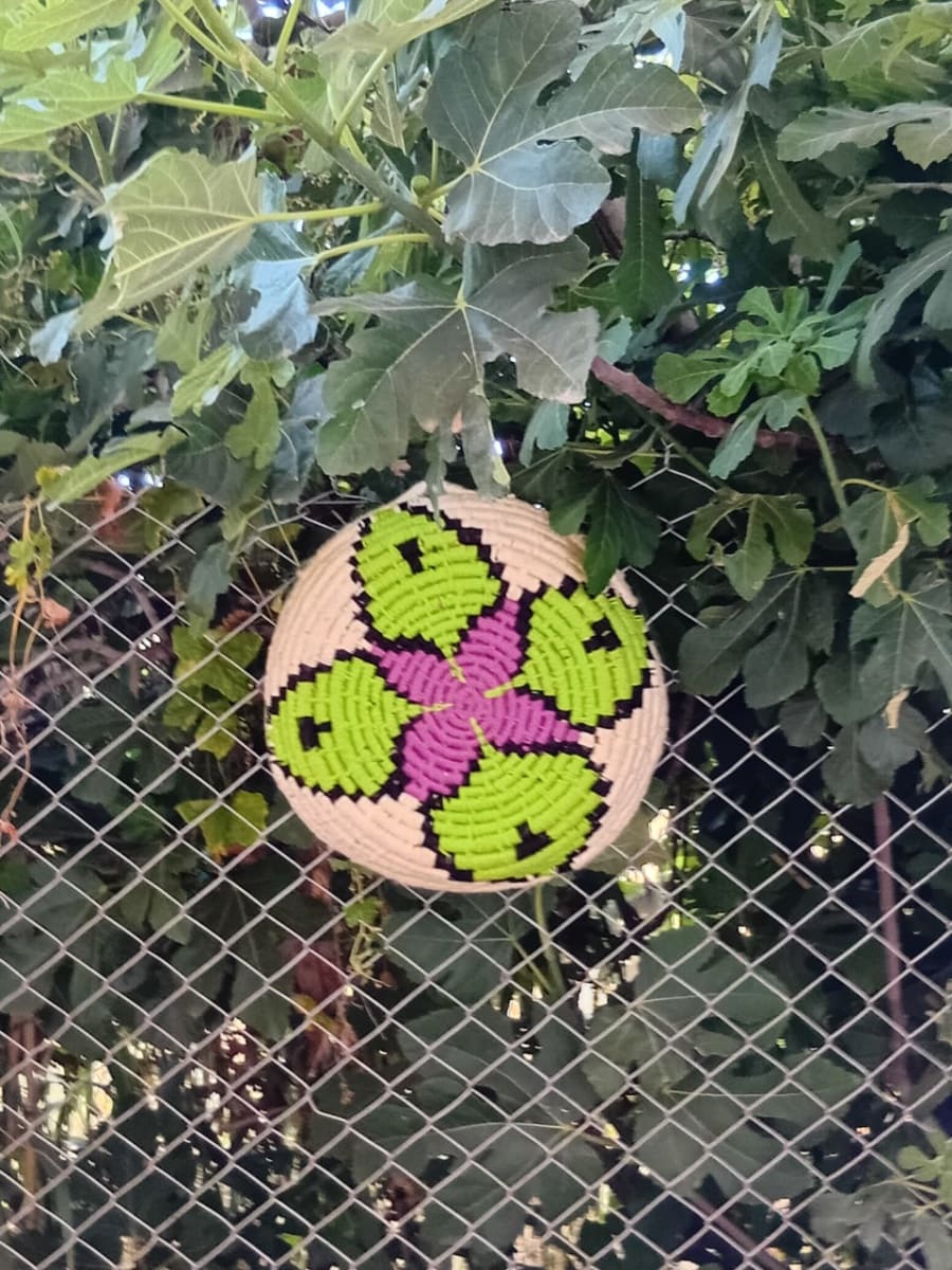 Basket  Colored Morocco