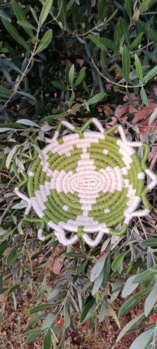  Basket  Green, White Morocco