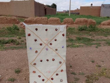  Rug   and  Colored Morocco