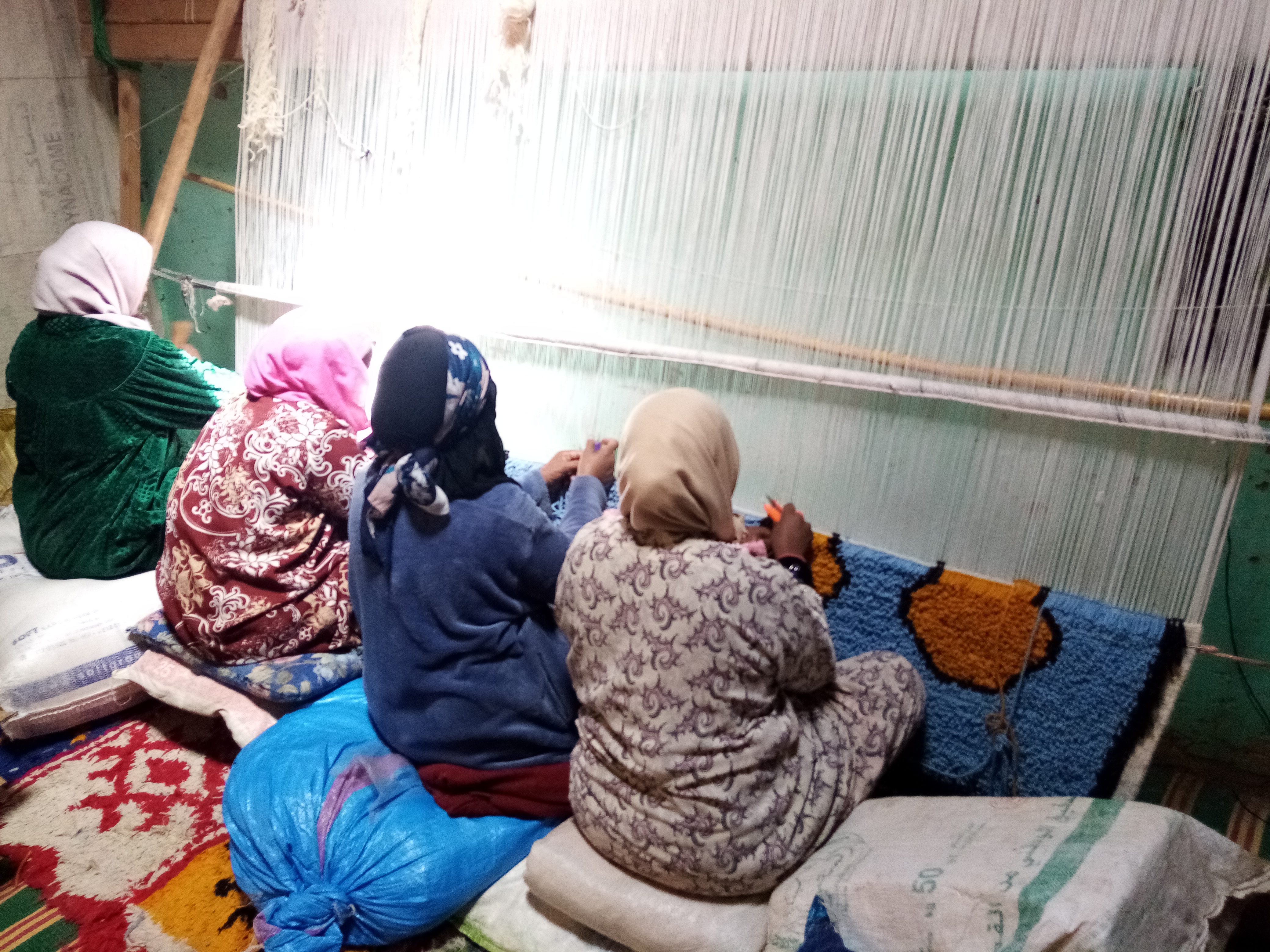  Pile Knot Rug Cotton String Colored Morocco