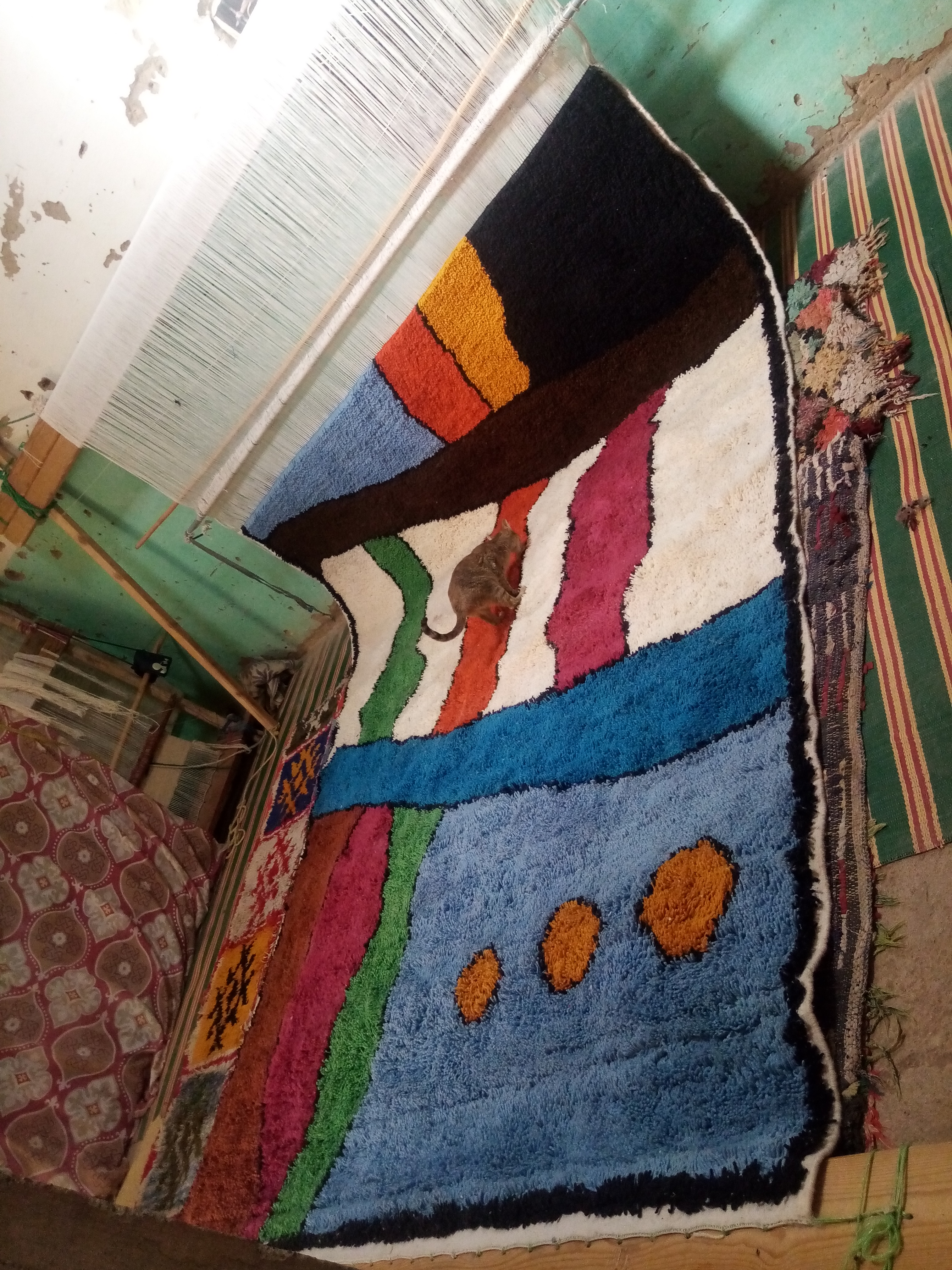  Pile Knot Rug Cotton String Colored Morocco