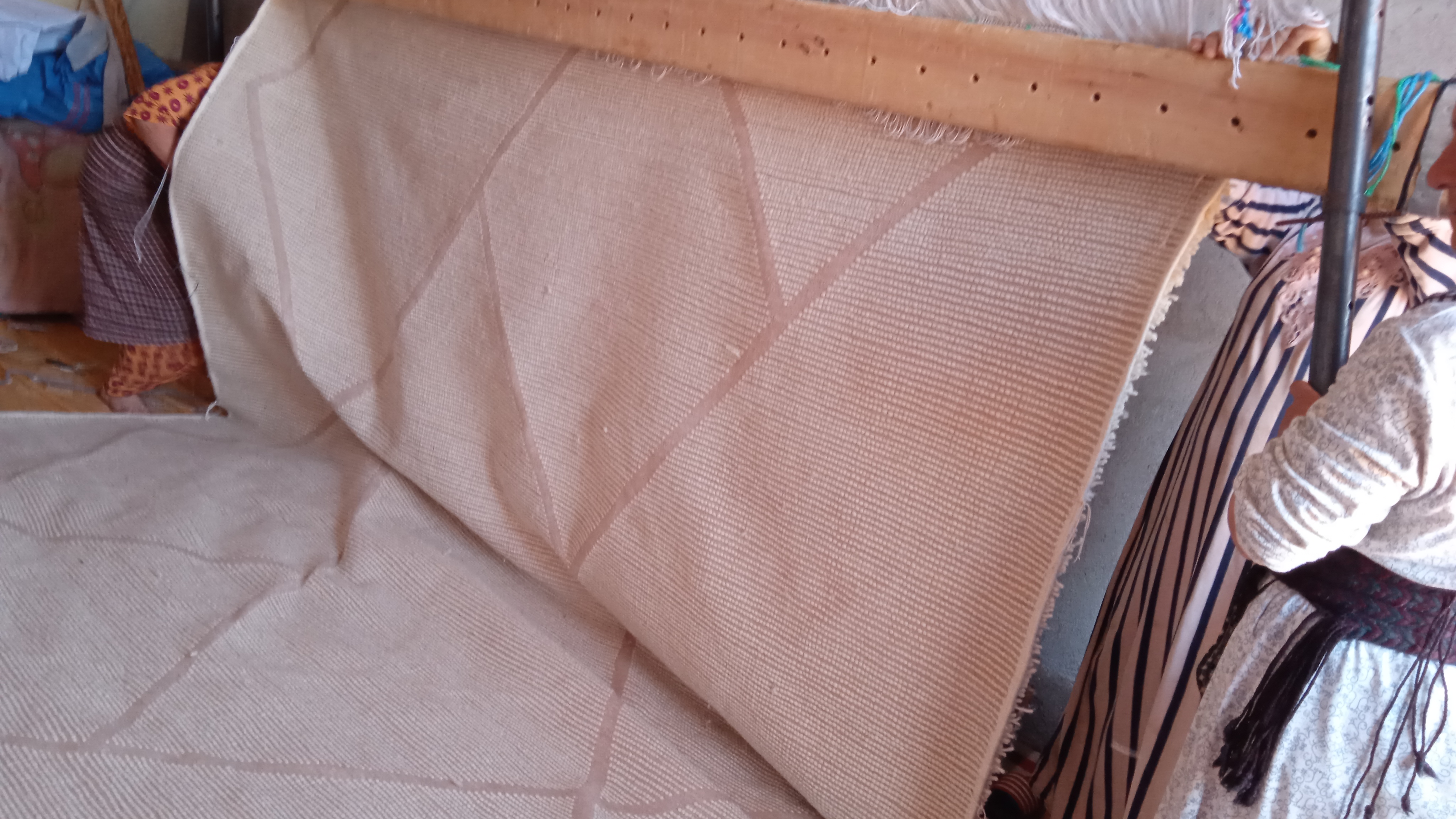  Pileknot Rug Wool warp Brown, White Morocco