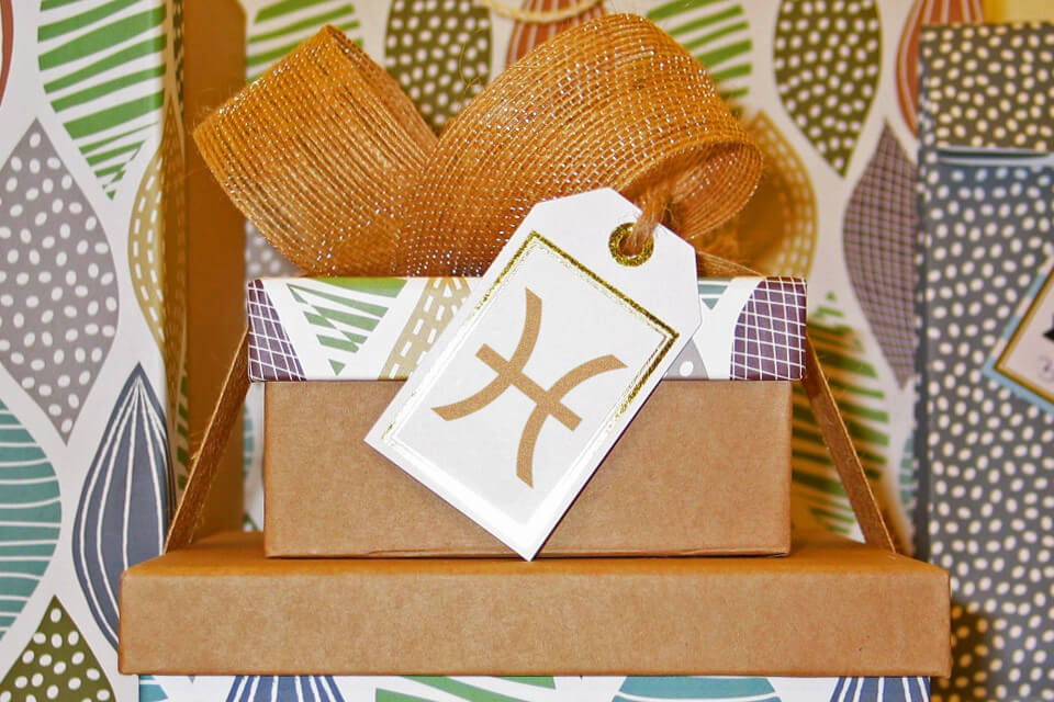 10 Meilleures Idées de Cadeau pour une Femme Poisson