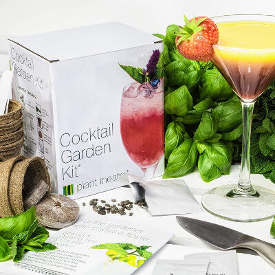 Kit de culture de plantes pour cocktails 