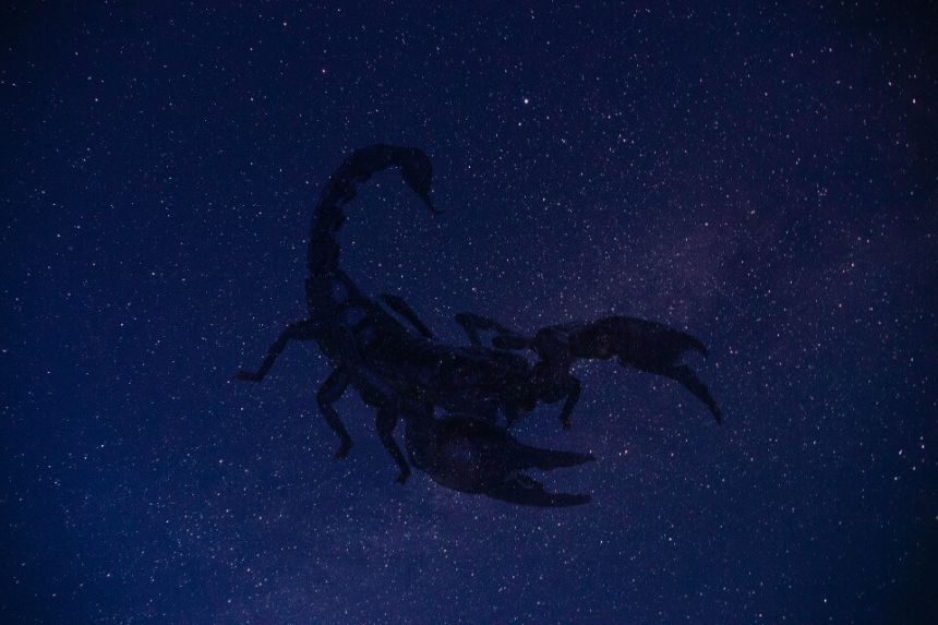 Quelle est la Planète dominante du Scorpion en Astrologie ?