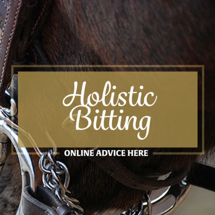 holistic bitting - online advice here