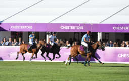 Chestertons polo and suite shot
