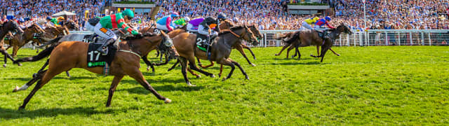 Goodwood Racecourse