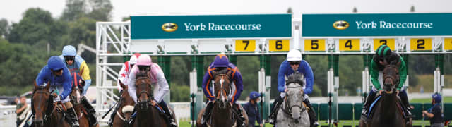 Date Festival at York Racecourse