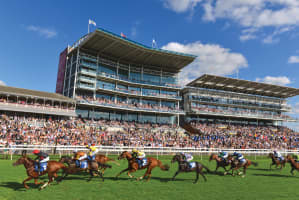 York Racecourse