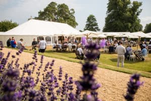 Library Lawn, Goodwood Festival of Speed