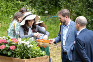 Chelsea flower show hospitality