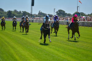 York Racecourse