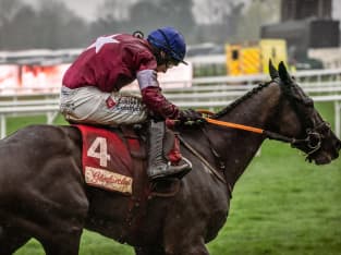 Cheltenham Festival races