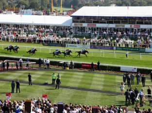 Parade Ring