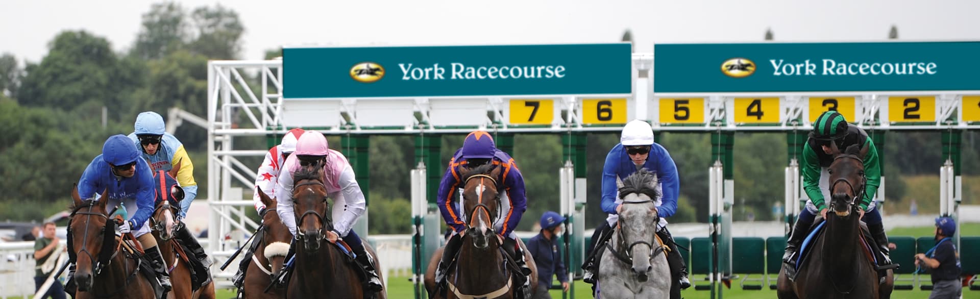 Date Festival at York Racecourse