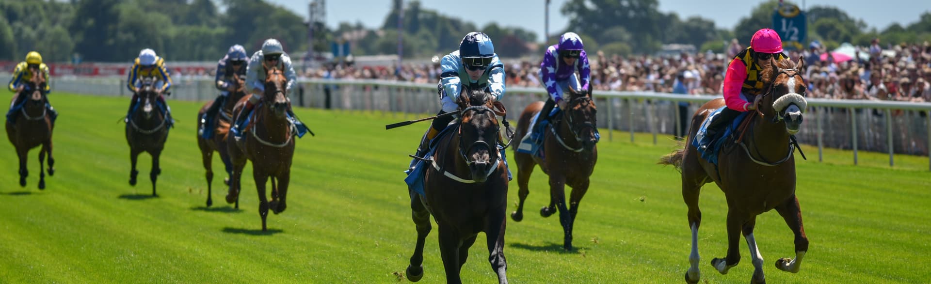 York Racecourse