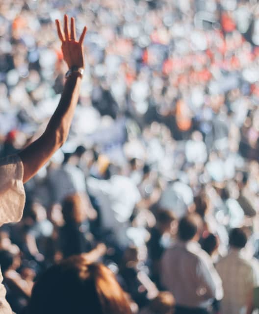 Concert crowd