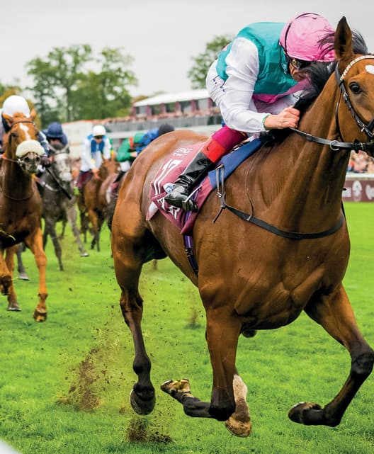 Qatar Prix de l'Arc de Triomphe