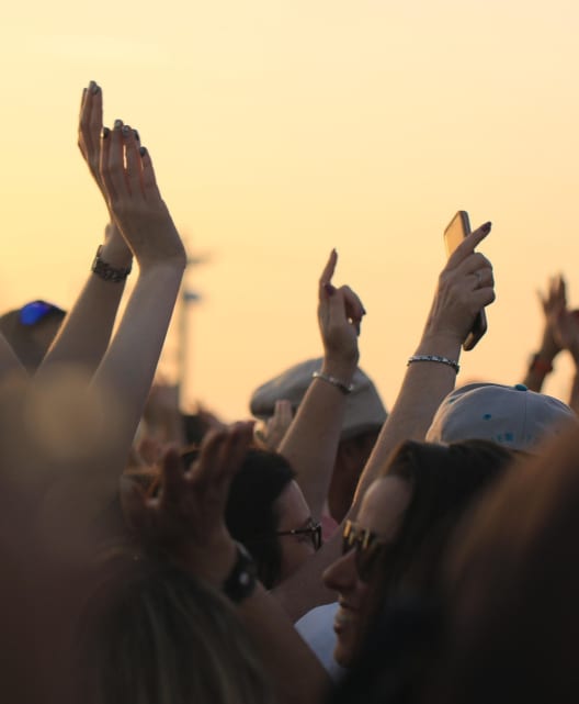 Hands in a concert crowd